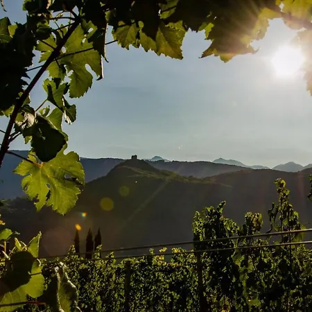 Seaberhof Bed & Breakfast Caldaro